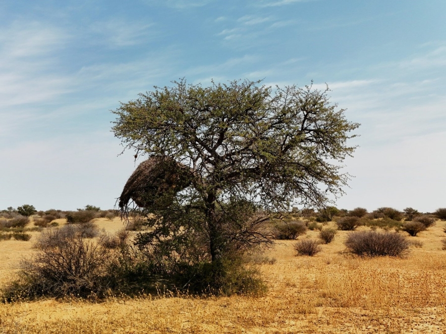 Commercial Property for Sale in Hotazel Rural Northern Cape